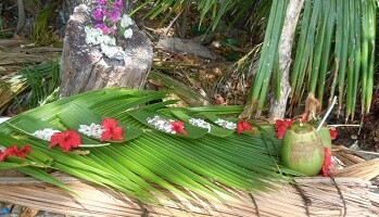 Coconut cut into pieces and served on leaves on a beach in Seychelles