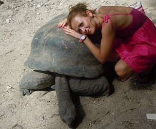 In the Botanical garden with Aldabra tortoise, Mahe Seychelles