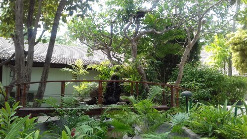 Garden in Embudu Village, Maldives