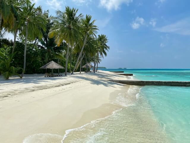 White sandy beach, Maldives