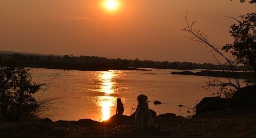 View on Zambezi river during sunset