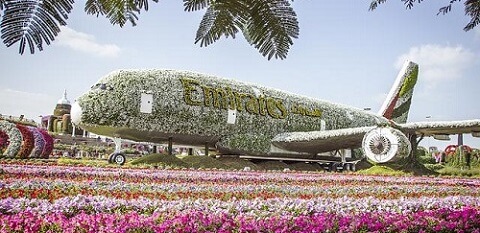 Plane from flowers in Dubai Miracle Garden