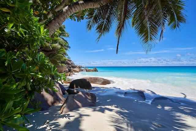 White sandy beach in Seychelles