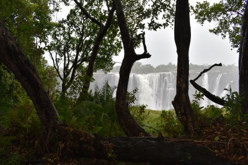 Victoria Falls National Park, Zimbabwe