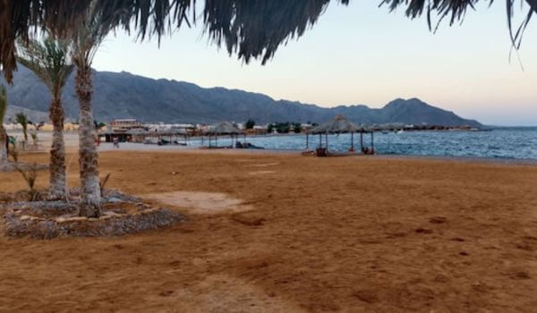 Nuweiba, Egypt A peaceful view of Nuweiba beach in Egypt with palm trees and straw umbrellas along the sandy shore. Gentle waves roll in with mountains in the background.