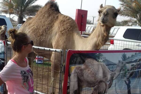 Me next to a camel on the Dubai Desert Safari
