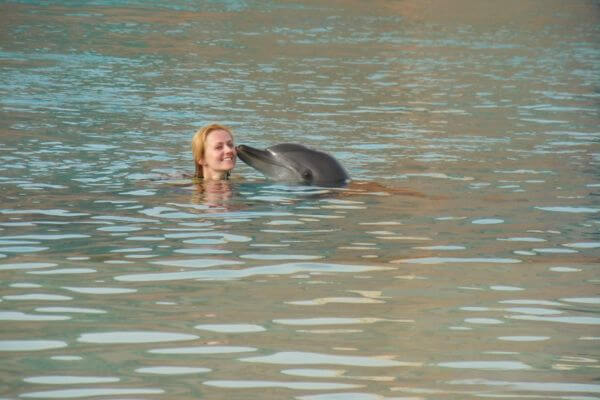 A dolphin kissing me during the swim in Atlantis Dubai