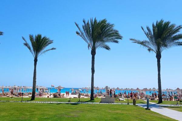 Almaza Bay, Marsa Matrouh A sunny beach scene at Almaza Bay in Marsa Matrouh, Egypt, with tall palm trees in front of rows of umbrellas and sun loungers. People are relaxing by the sea and enjoying the clear blue water.
